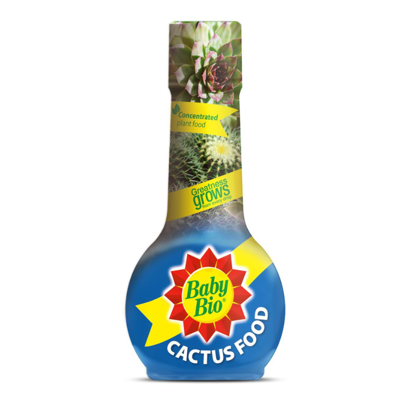 Baby Bio Cactus Food 175ml - Savvy Gardens Centre