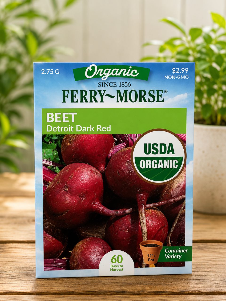 Beet– Detroit Dark Red - Savvy Gardens Centre