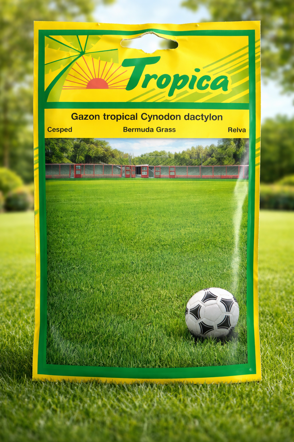 Bermuda Grass Seeds (Cynodon dactylon) – Gazon tropical - Savvy Gardens Centre