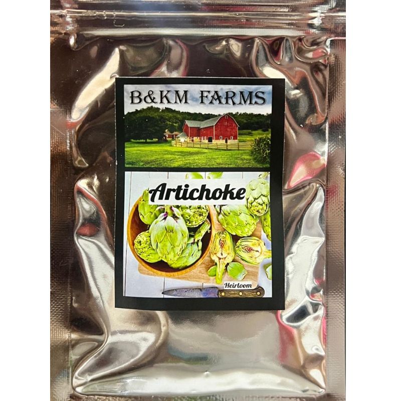 B&KM Artichoke (green globe) - Savvy Gardens Centre