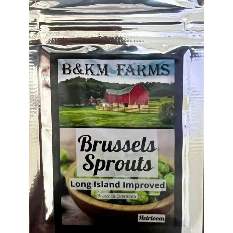 B&KM Brussel Sprouts (long island) - Savvy Gardens Centre
