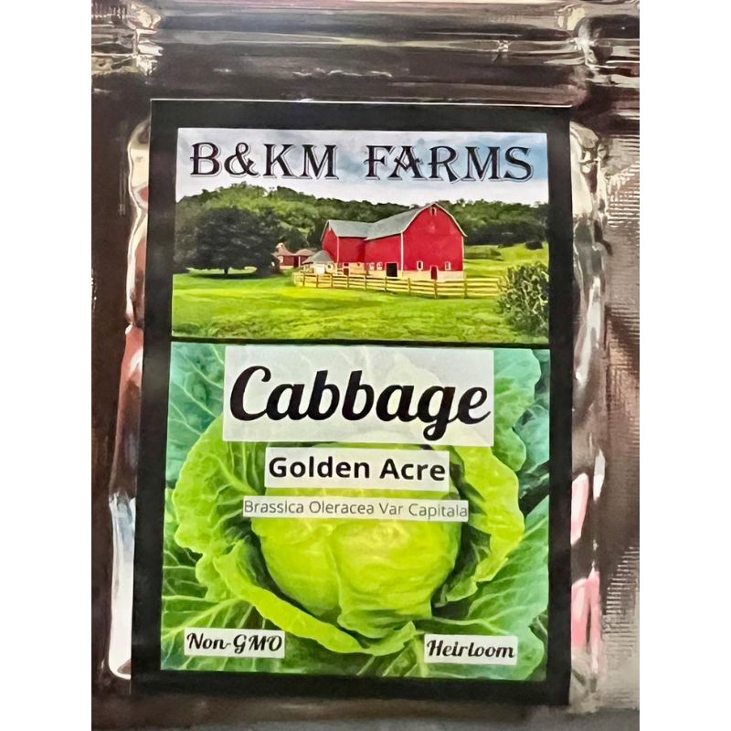 B&KM Cabbage (golden acre) - Savvy Gardens Centre