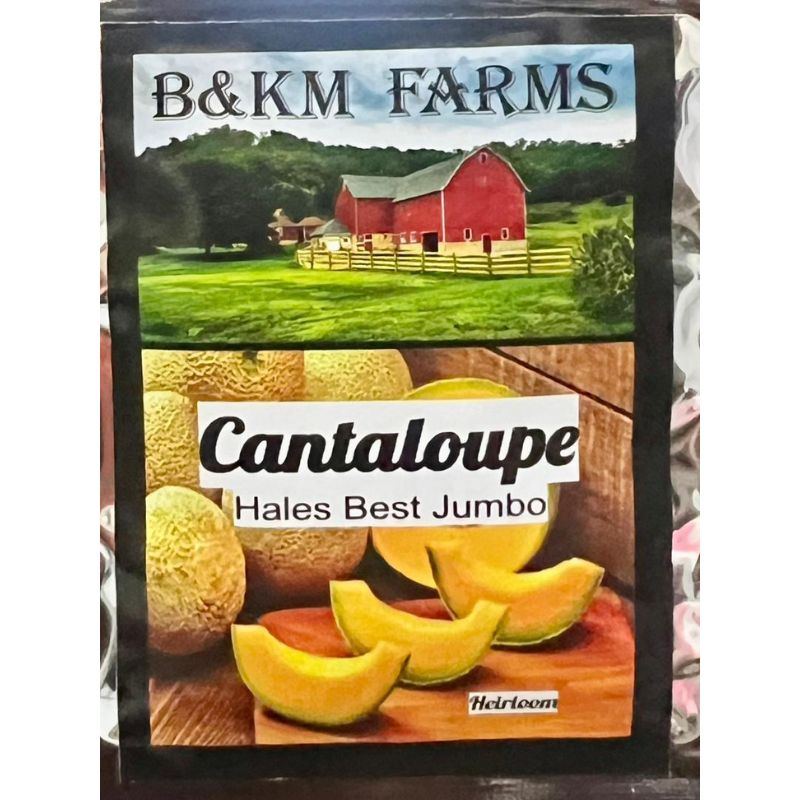 B&KM Cantaloupe (hales best jumbo) - Savvy Gardens Centre