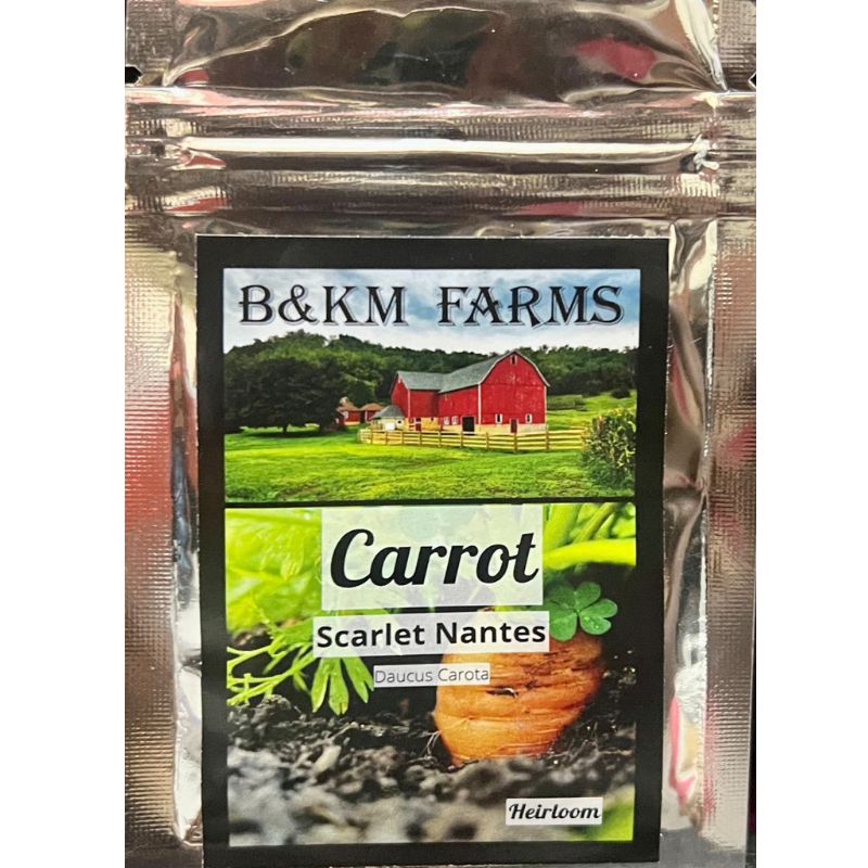 B&KM Carrot (Scarlet nantes) - Savvy Gardens Centre