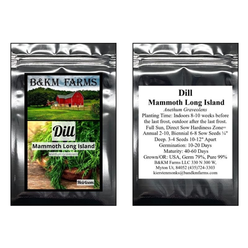 B&KM Dill (mammoth long island) - Savvy Gardens Centre