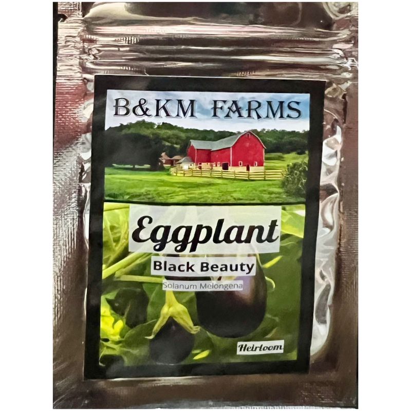 B&KM Eggplant (black beauty) - Savvy Gardens Centre