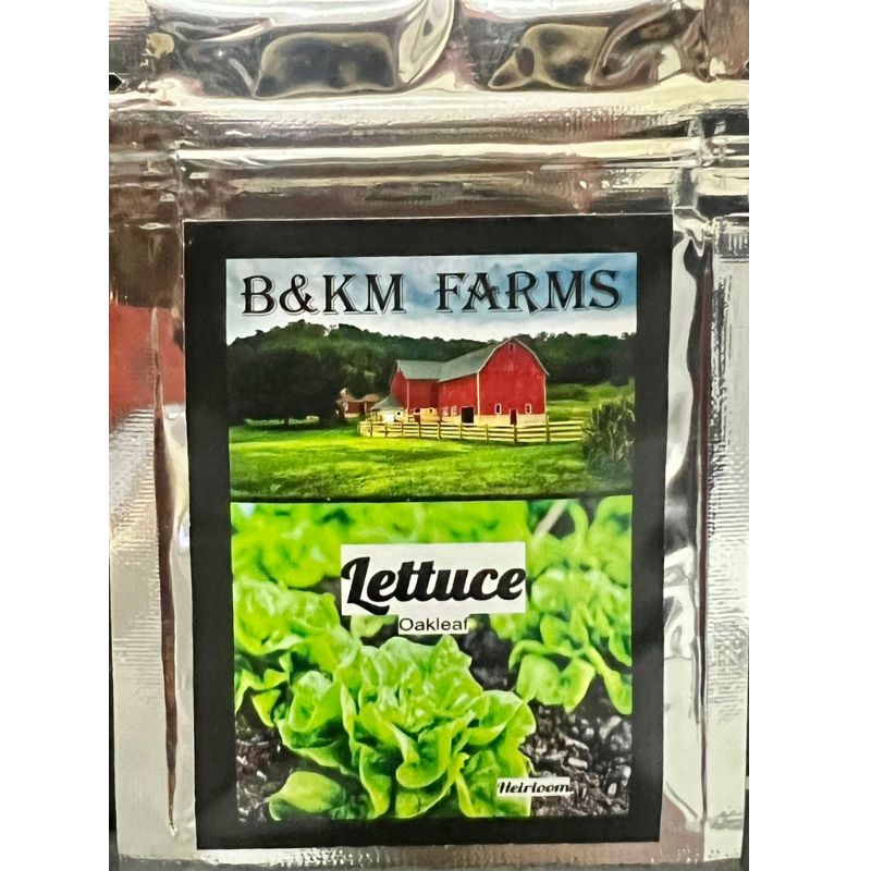 B&KM Lettuce (oakleaf) - Savvy Gardens Centre
