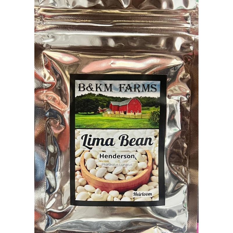 B&KM Lime Bean (henderson) - Savvy Gardens Centre