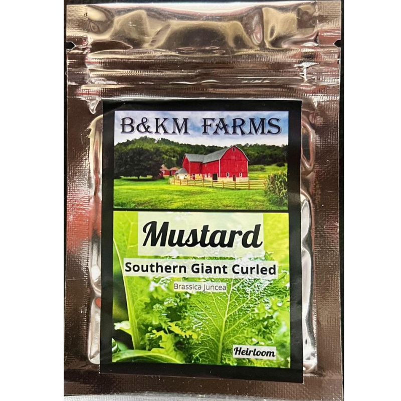 B&KM Mustard (southern gaint curled) - Savvy Gardens Centre