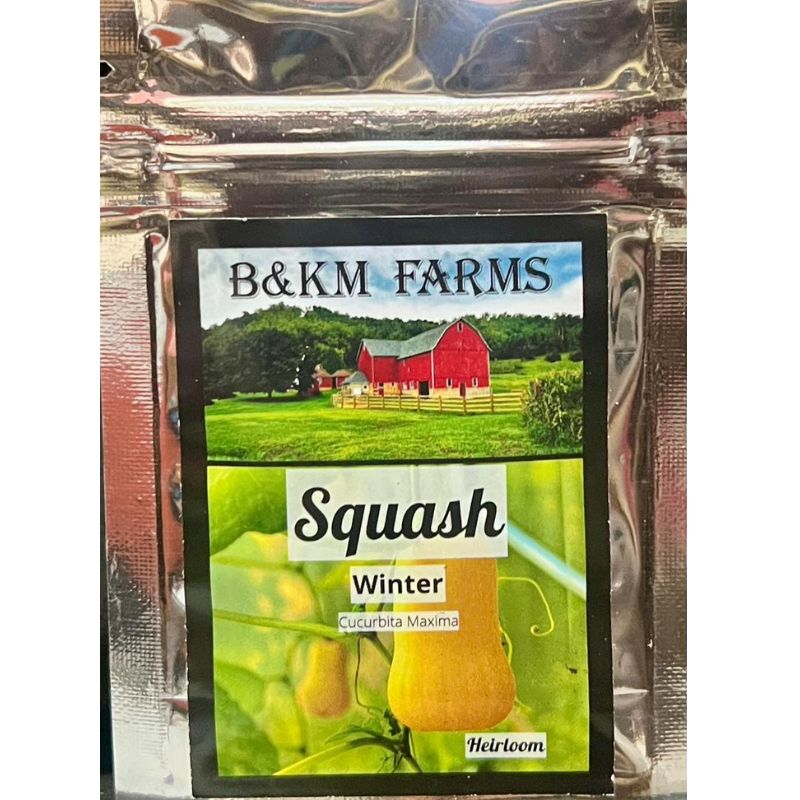 B&KM Squash (winter) - Savvy Gardens Centre