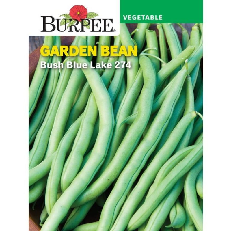 Burpee Bush Bean Blue Lake 274 Seed - Savvy Gardens Centre