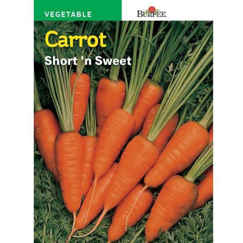 Burpee Carrot short n sweet - Savvy Gardens Centre