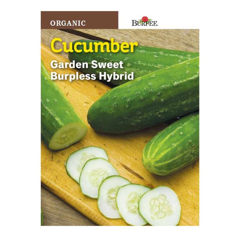 Burpee Cucumber Organic Garden Sweet Hybrid - Savvy Gardens Centre