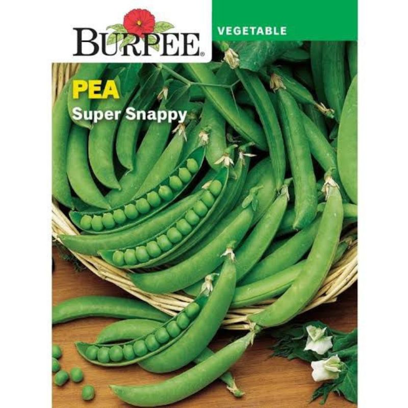 Burpee Pea Super Sugar Snap - Savvy Gardens Centre