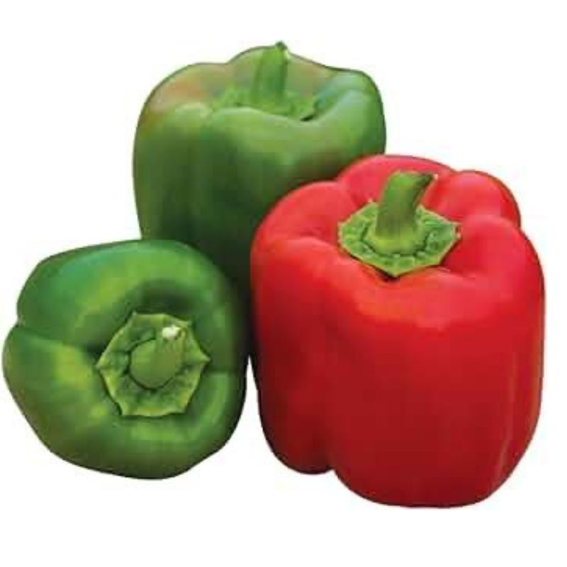 Burpee Sweet Pepper Candy Apple Hybrid - Savvy Gardens Centre