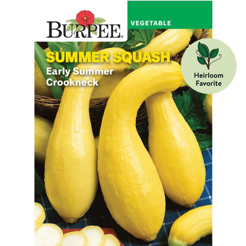 Burpee Swiss Summer Squash Early Summer Crookneck seed - Savvy Gardens Centre