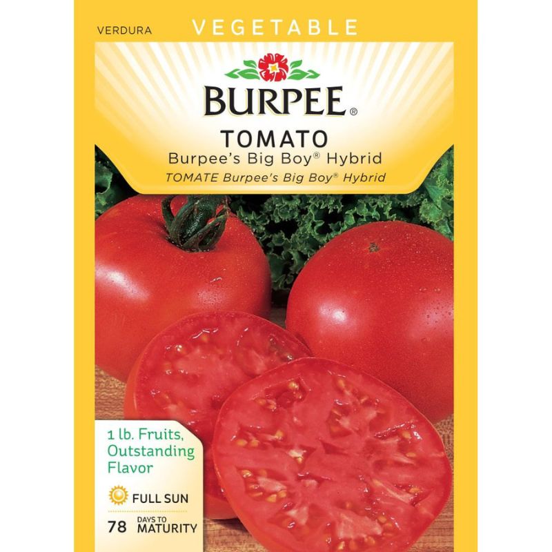 Burpee Tomato Big Boy Hybrid - Savvy Gardens Centre