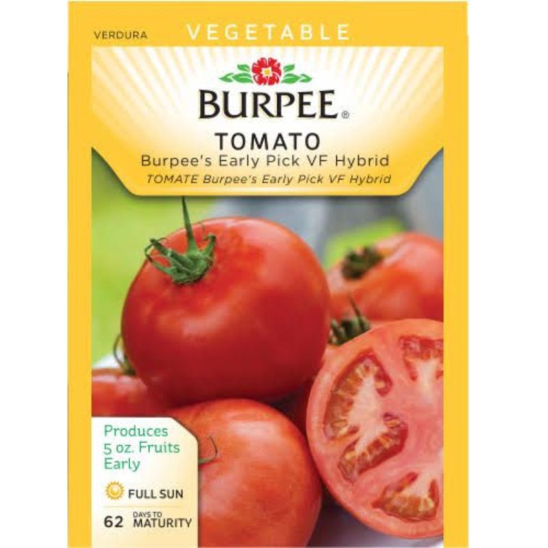 Burpee Tomato Early Pick Hybrid VF - Savvy Gardens Centre
