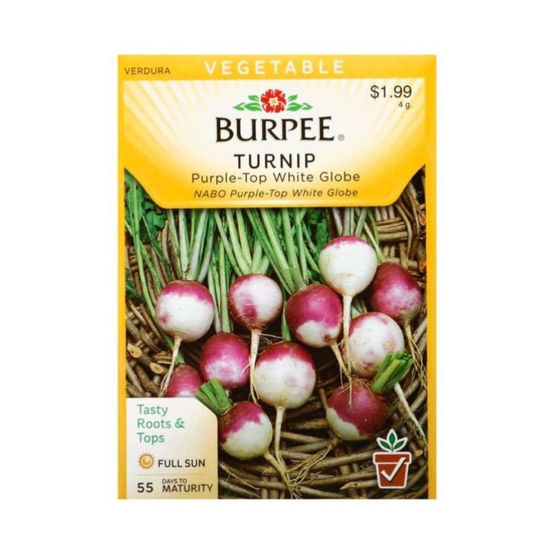 Burpee Turnip Purple - Top white Globe seed - Savvy Gardens Centre