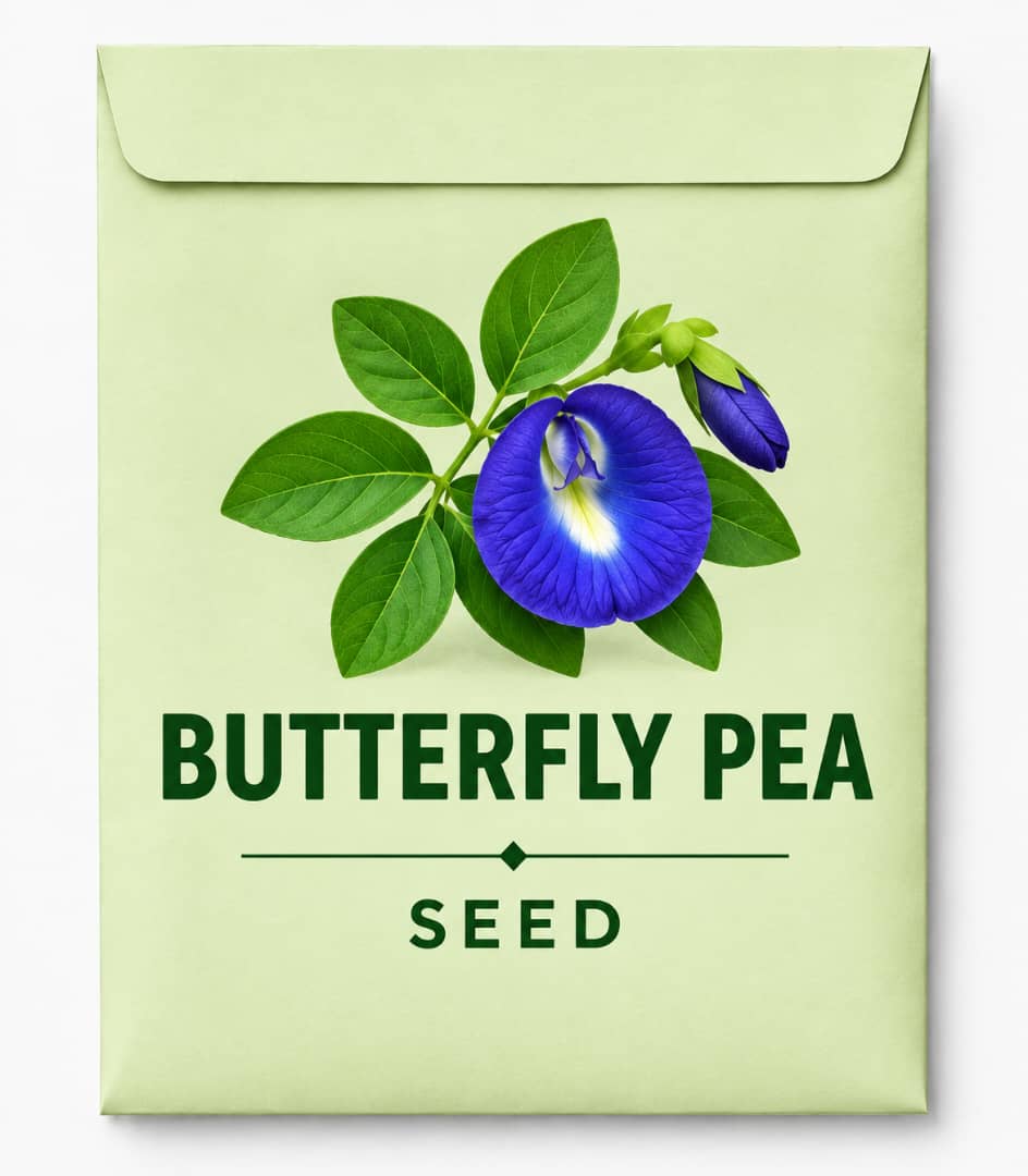 Butterfly Pea Seeds - Savvy Gardens Centre
