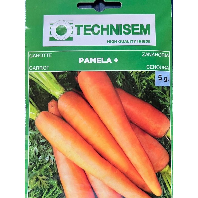 Carrot Pamela+ - Savvy Gardens Centre
