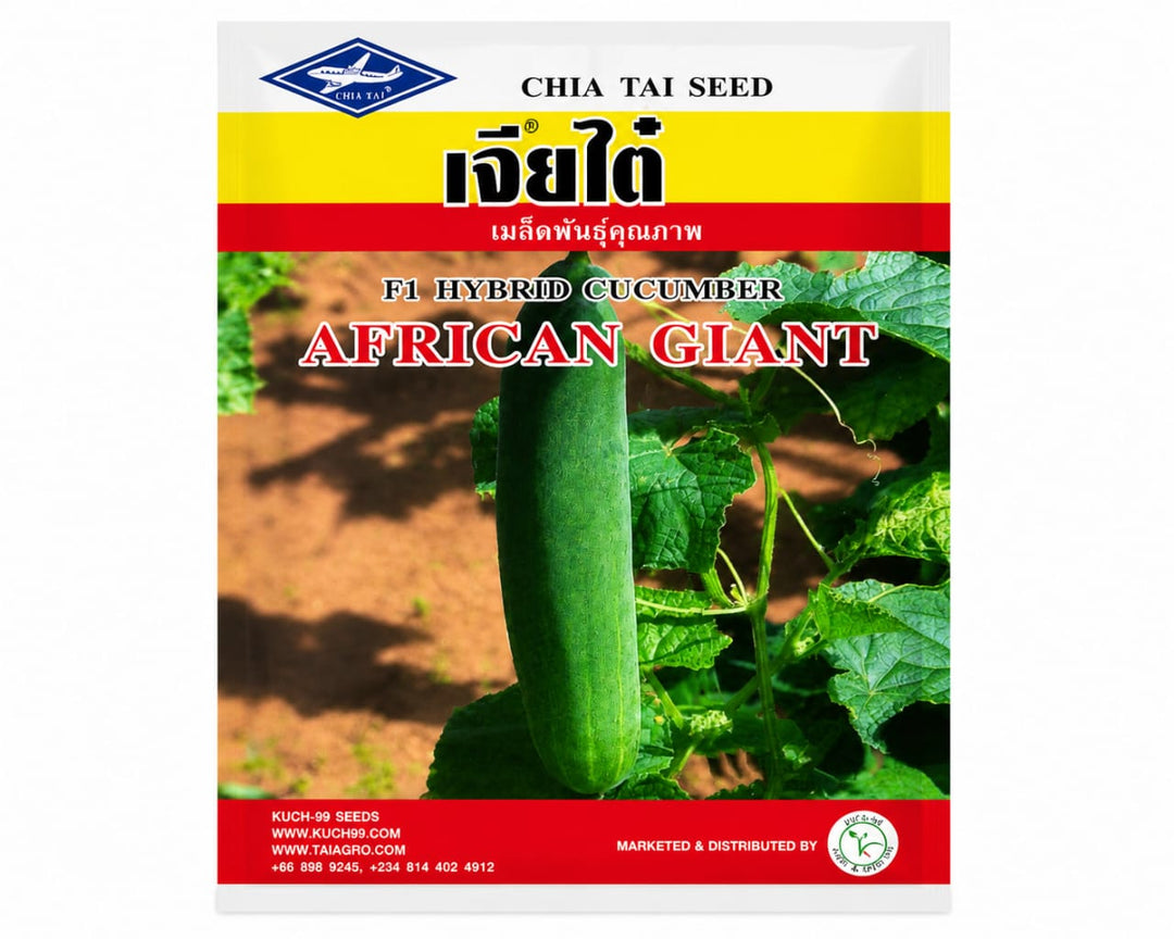Chai Tai African Giant F1 Hybrid Cucumber - Savvy Gardens Centre