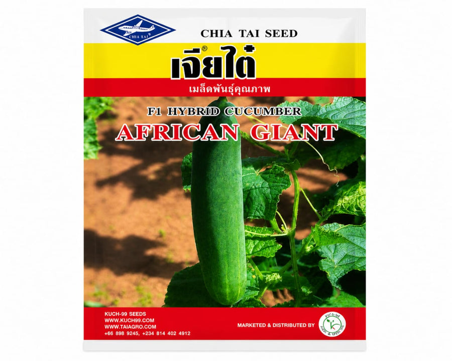 Chai Tai African Giant F1 Hybrid Cucumber - Savvy Gardens Centre