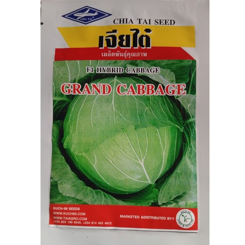Chai Tai Grand Cabbage Seeds - Savvy Gardens Centre
