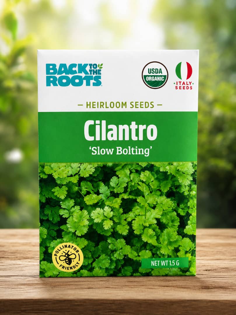 Cilantro 'Slow Bolting' seeds - Savvy Gardens Centre