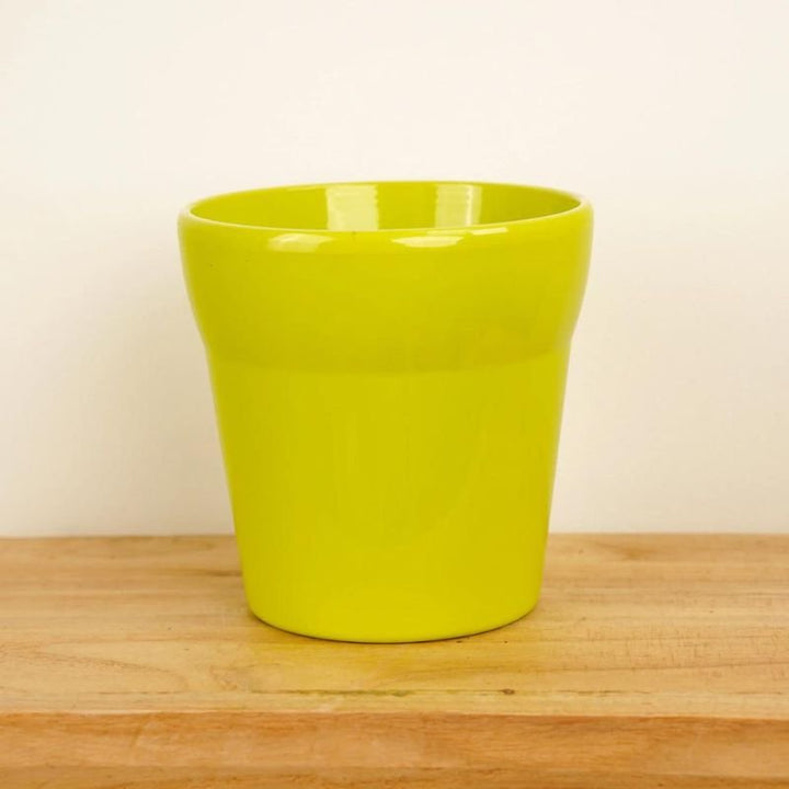 Colorful ceramic flower pots - Savvy Gardens Centre