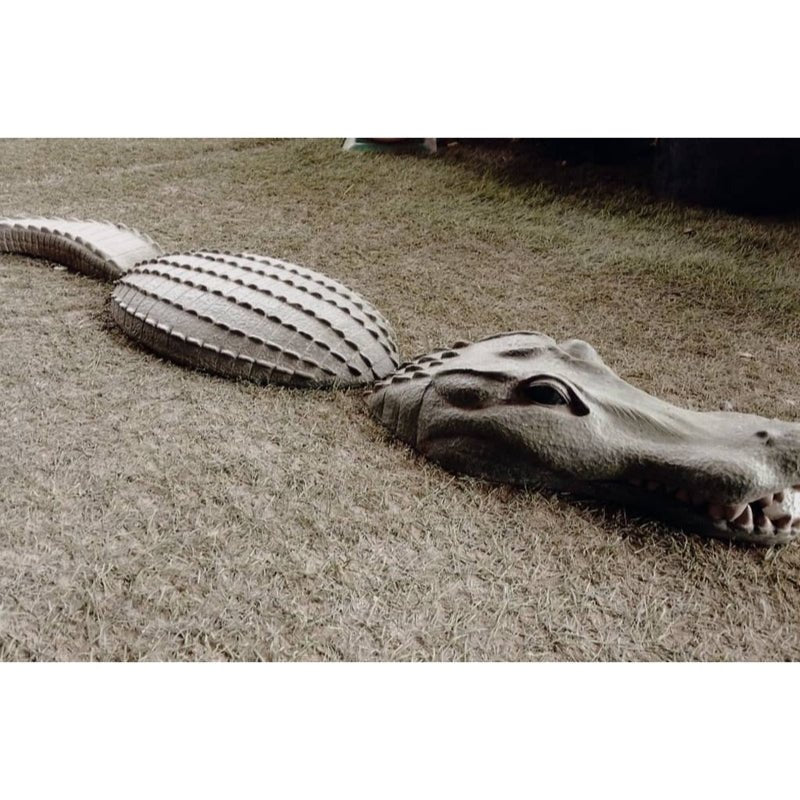Crocodile - Savvy Gardens Centre