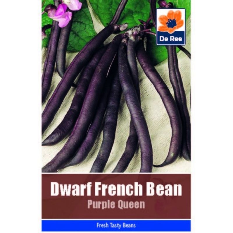 De Ree Dwarf French Bean Purple Queen - Savvy Gardens Centre
