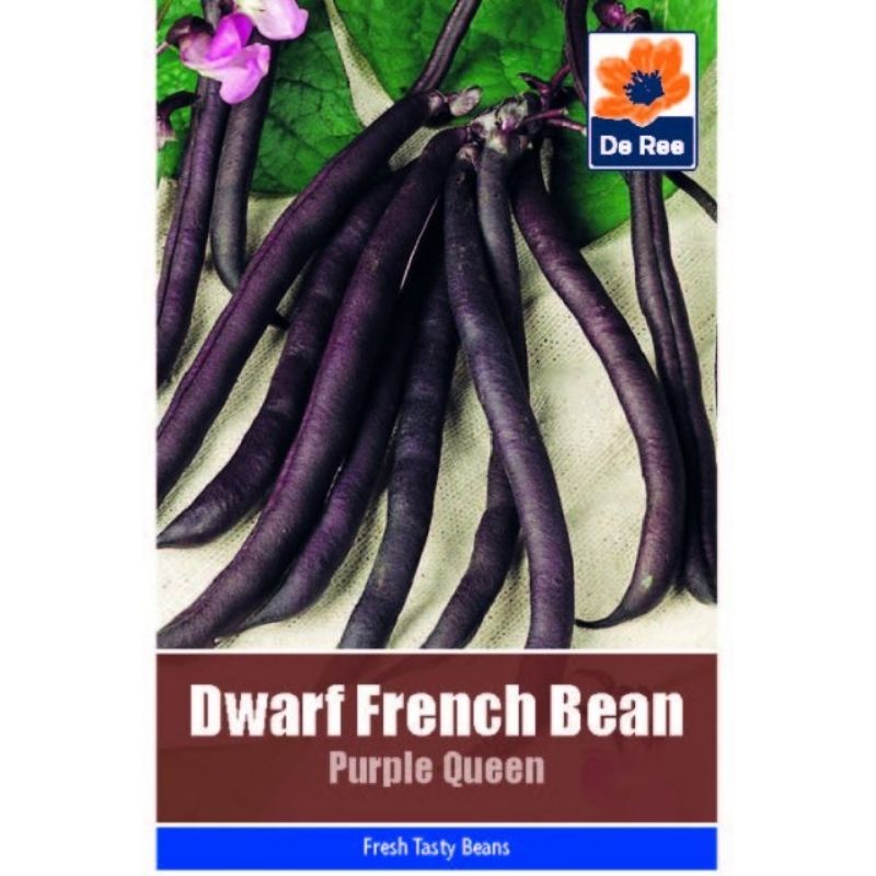 De Ree Dwarf French Bean Purple Queen - Savvy Gardens Centre