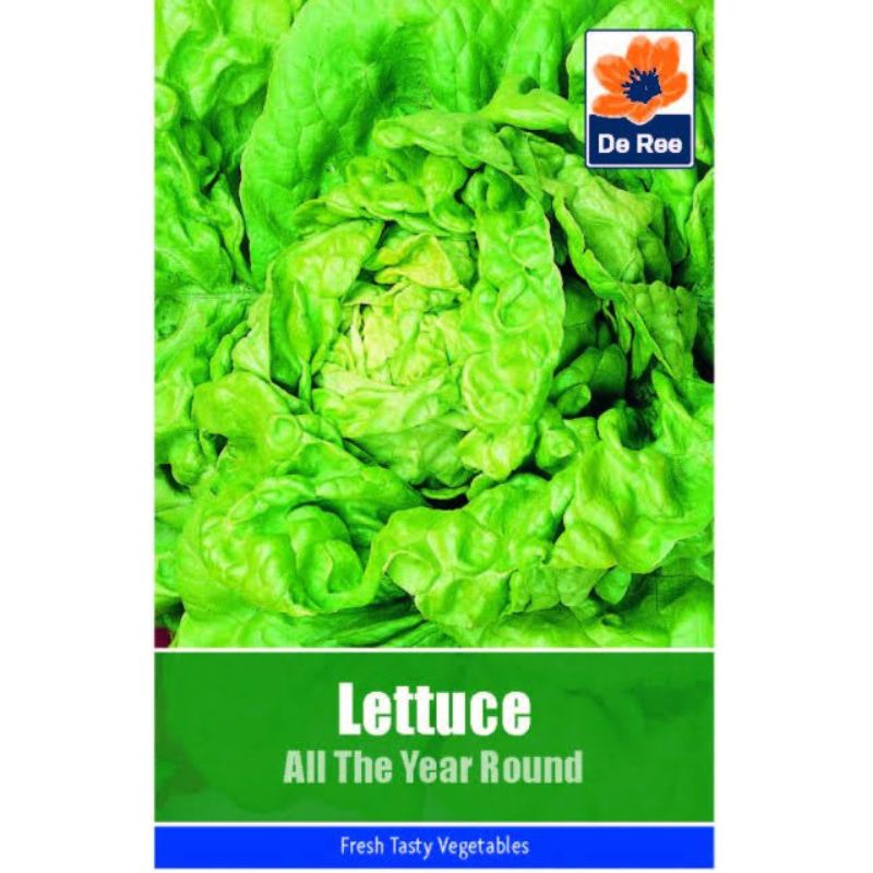 De Ree Lettuce – All Year Round - Savvy Gardens Centre