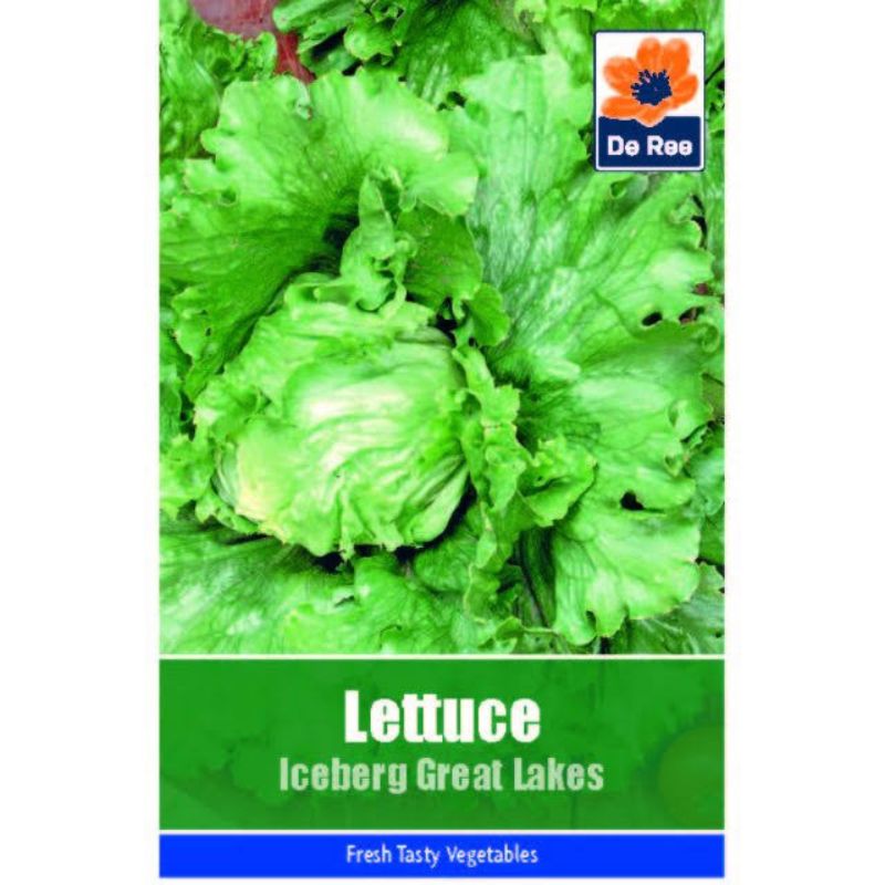 De Ree Lettuce – Iceberg Great Lakes - Savvy Gardens Centre
