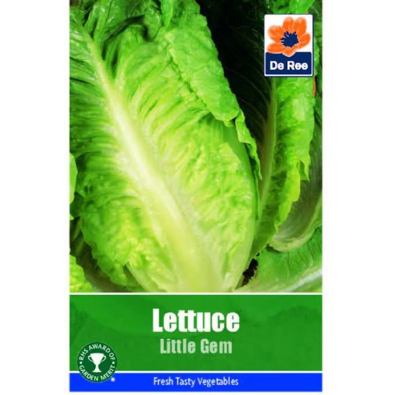 De Ree Lettuce – Little Gem - Savvy Gardens Centre