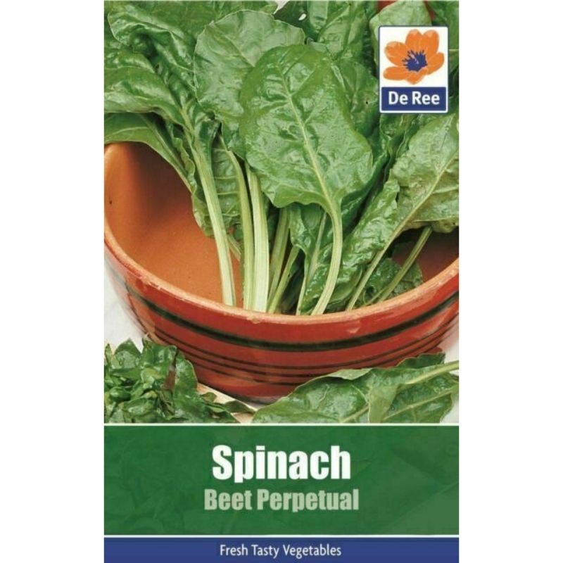 De Ree Spinach Beet Perpetual - Savvy Gardens Centre