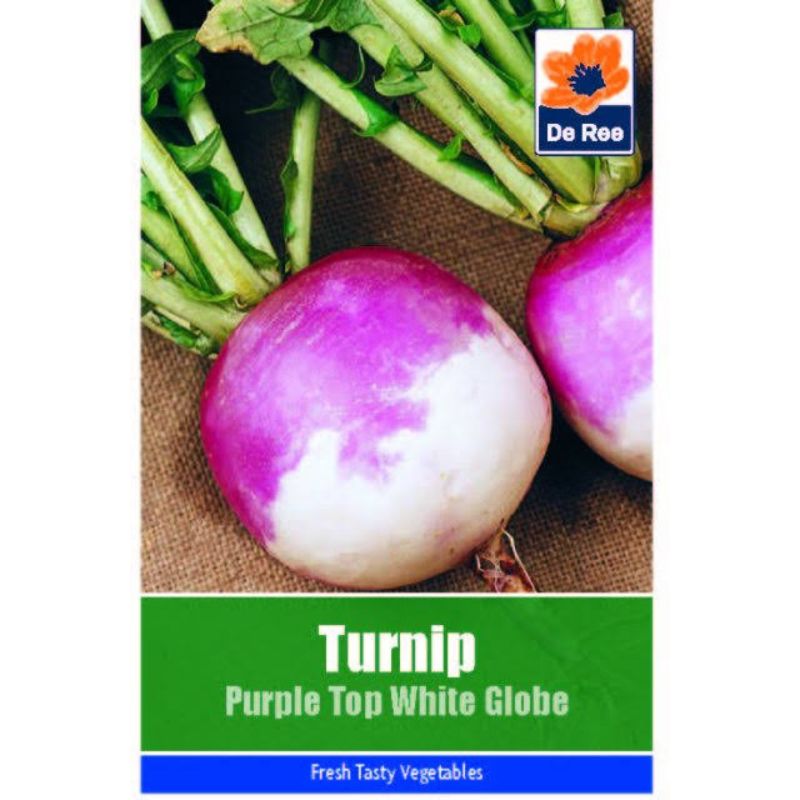 De Ree Turnip – Purple Top Globe - Savvy Gardens Centre