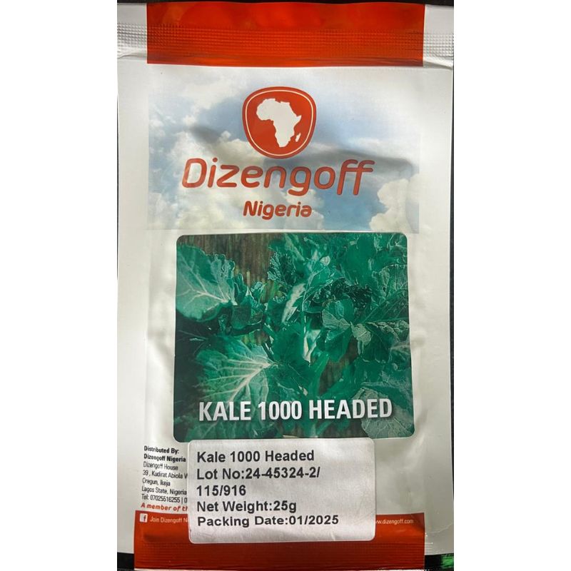 Dizengoff Nigeria Kale 1000 Headed - Savvy Gardens Centre