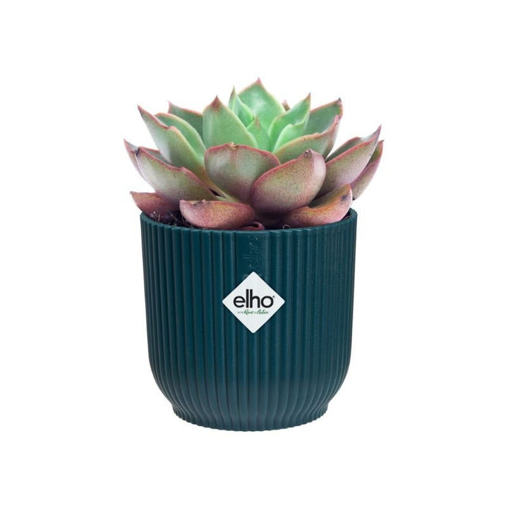 El Vibes Fold Round Wheels 35Cm Deep Blue - Savvy Gardens Centre