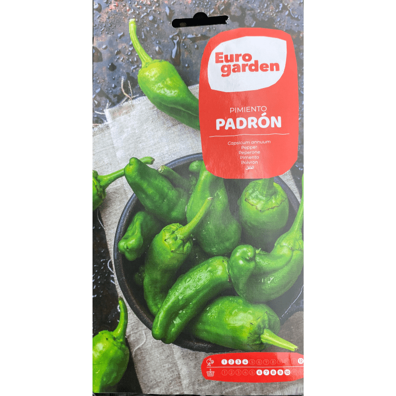 Euro Garden Pepper Padron - Savvy Gardens Centre