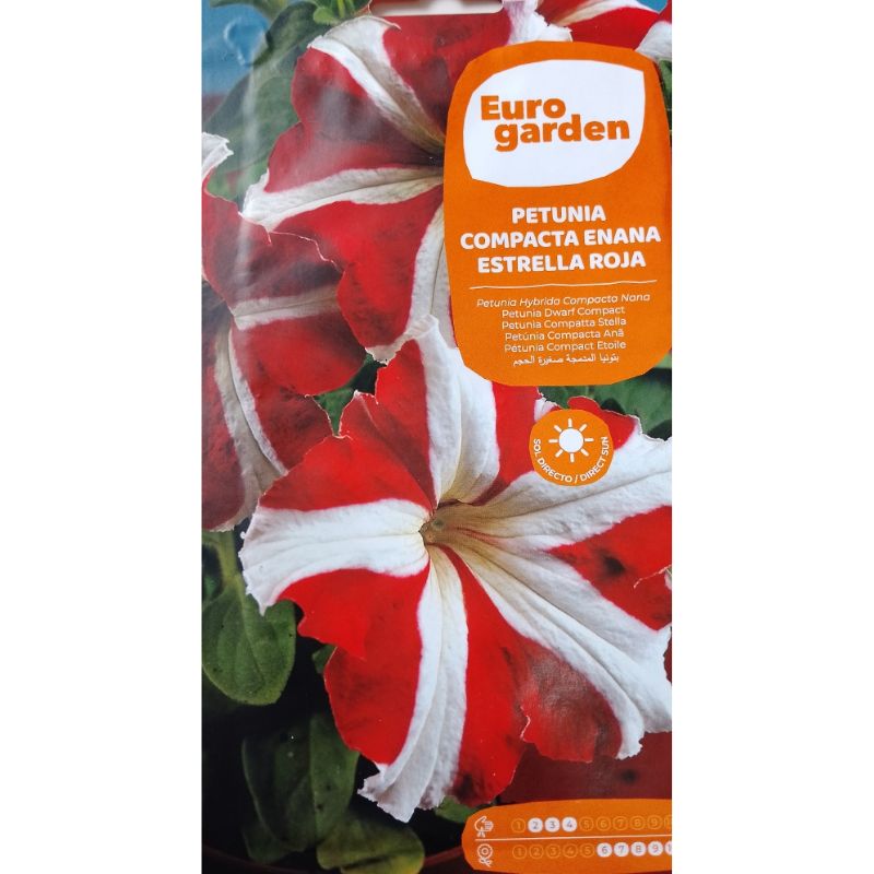 Euro Garden Petunia Dwarf Compact - Savvy Gardens Centre