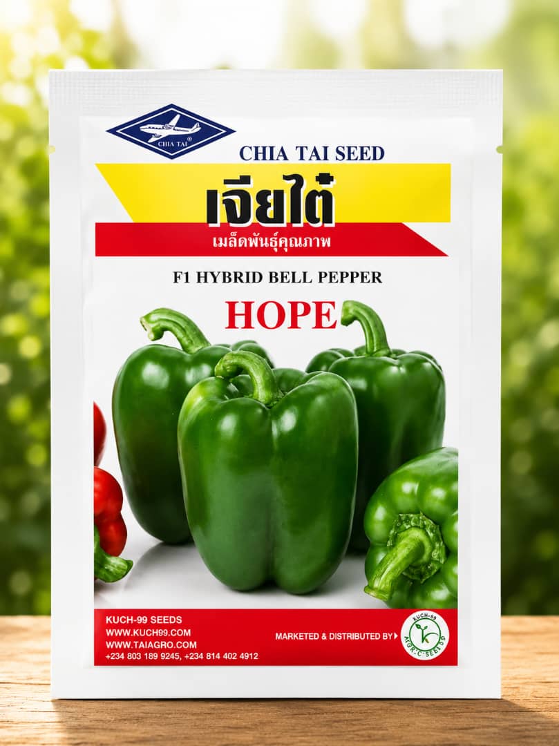 F1 Hybrid Bell pepper 'Hope' Seeds - Savvy Gardens Centre