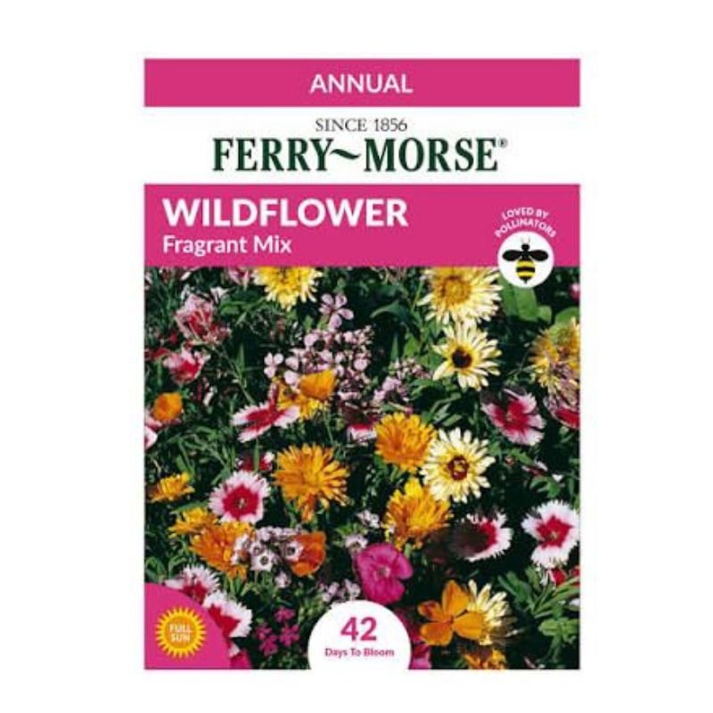 Ferry Morse WildFlower Cutflower Mix - Savvy Gardens Centre