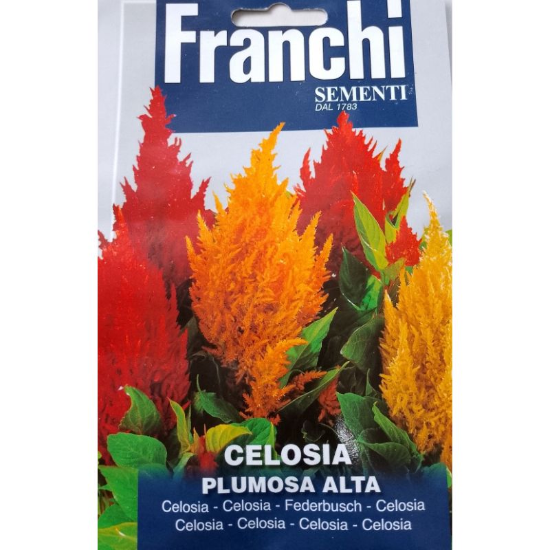 Franchi Sementi Celosia Plumosa Alta - Savvy Gardens Centre