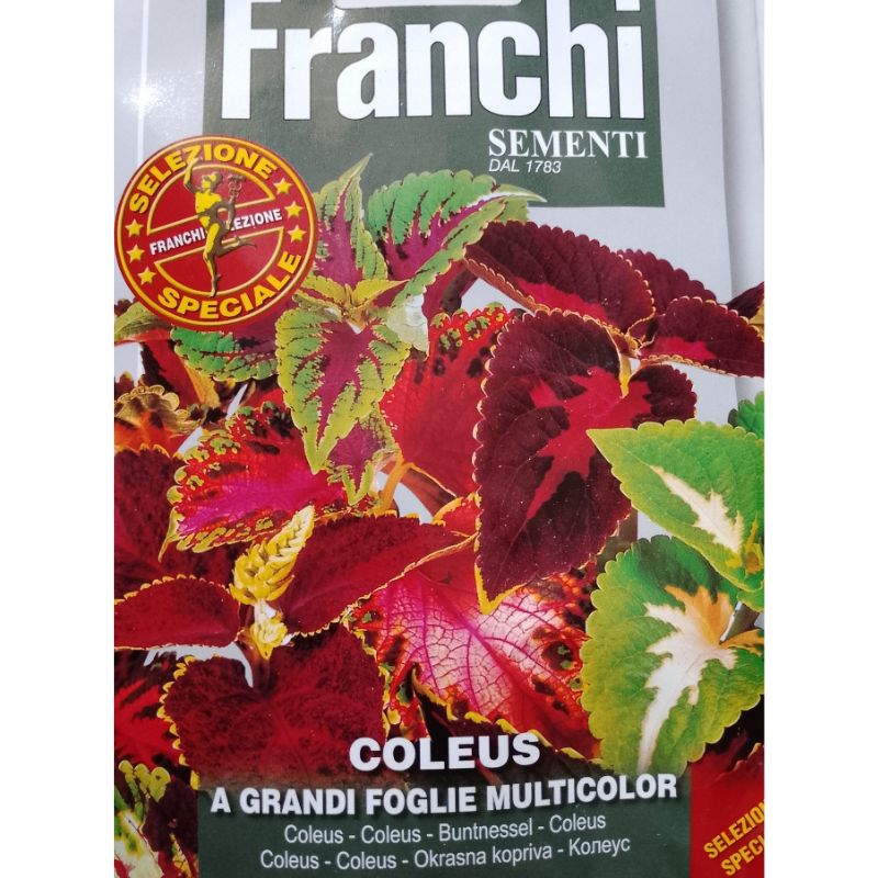Franchi Sementi Coleus - Savvy Gardens Centre