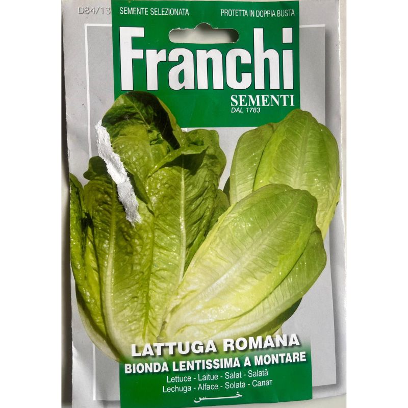 Franchi Sementi Lettuce - Savvy Gardens Centre