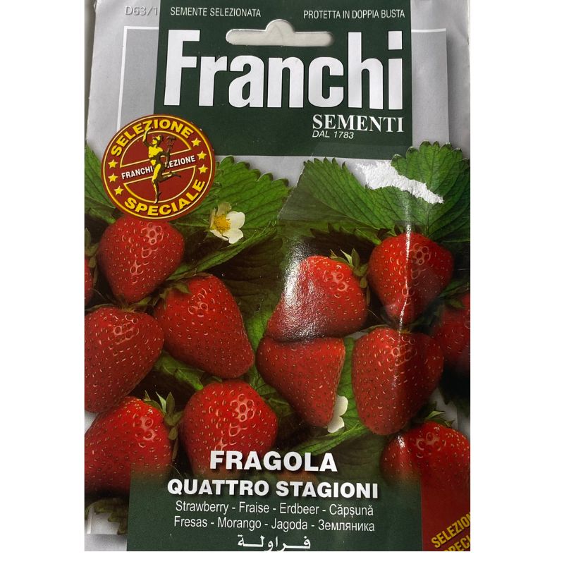 Franchi Sementi Strawberry - Savvy Gardens Centre