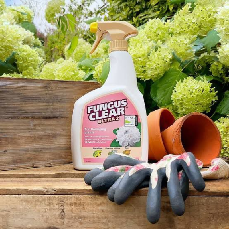 Fungus Clear Ultra 2 800Ml (Ready To use) - Savvy Gardens Centre