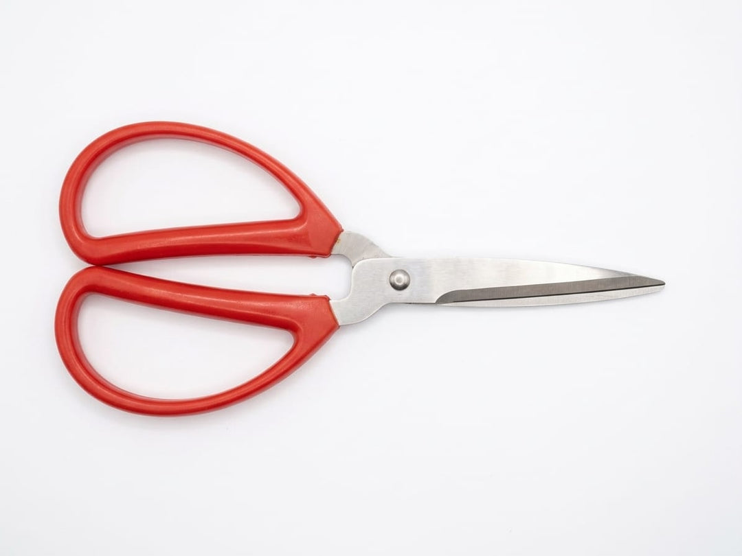 Garden Scissors - Savvy Gardens Centre